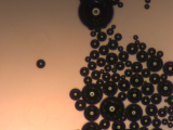 <h5>Anne-Eva van der Wijk</h5><p>Bubbles in a T75 culture flask.</p>