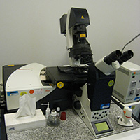 Leica DM-RXA