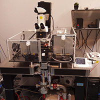 XM3 X-ray Multi Micro-beam Microscope